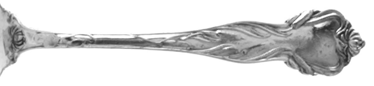 Two (Silverplate) Teaspoon by Wm H Rogers-1