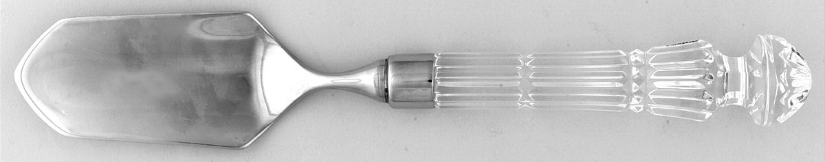 WTO1 (STAINLESS) Trowel with Stainless Blade by Waterford-1