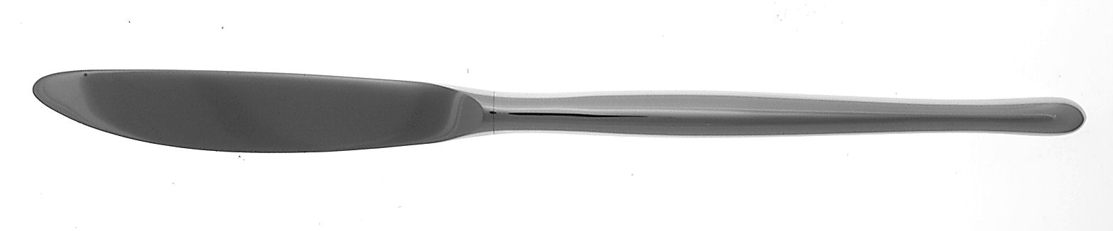 Vigo (Stainless) Modern Hollow Knife by WMF Flatware-1
