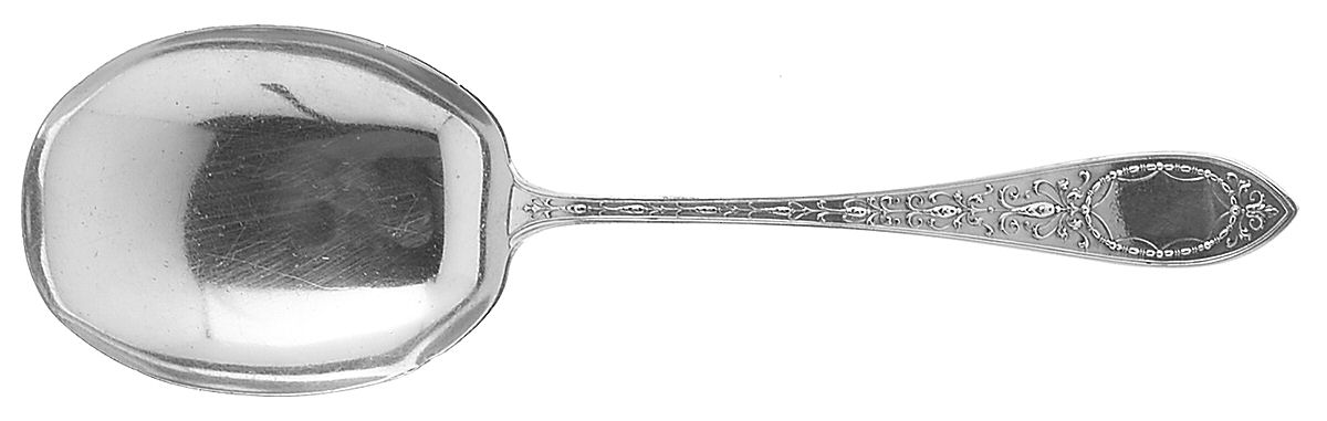 Adam (Sterling, 1907) Preserve Spoon by Whiting Manf Co-1