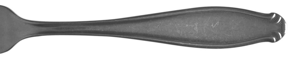 WIF17 (STAINLESS) Fork by Wirths-1