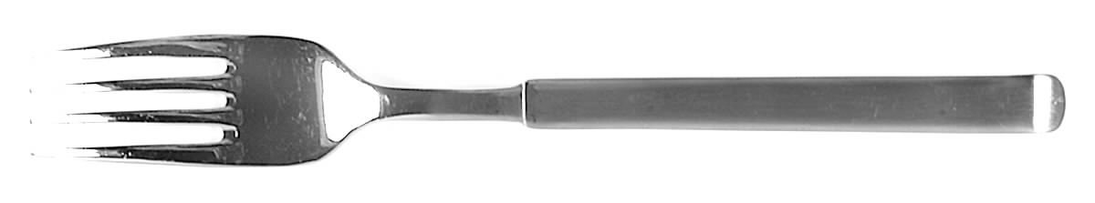 Nordia (Stainless) Fork by Wirths-1