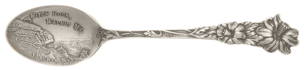 Floral Series #1 (Sterling) Souvenir Spoon (Demitasse) by Watson-1