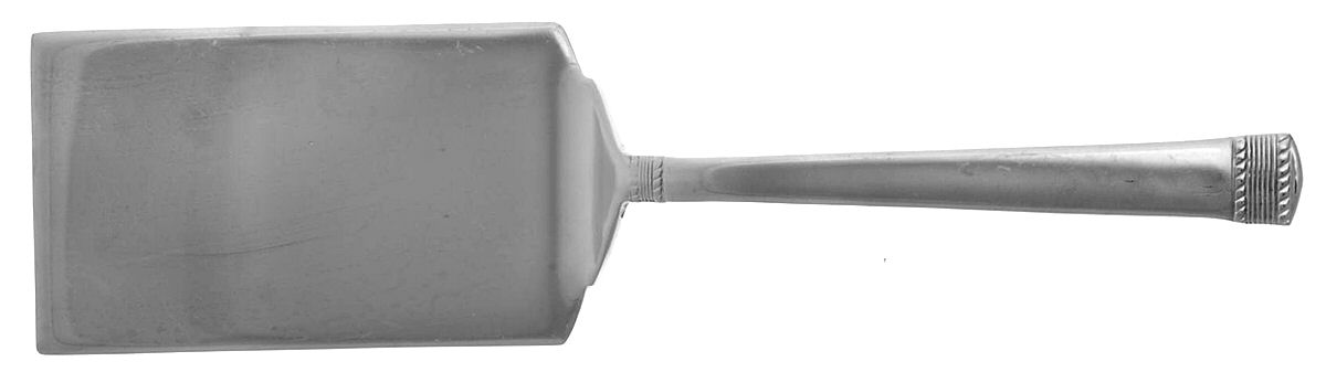 Coin Edge (Stainless) Lasagna Server, Solid Piece by Wallace Silver-1