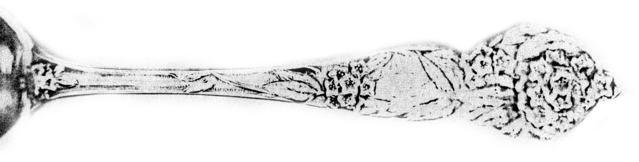 Floral Series #2 (Sterling) Teaspoon by Watson-1