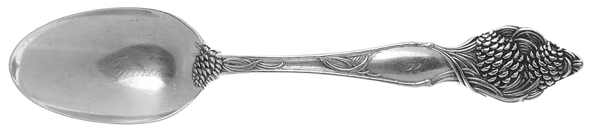 Floral Series (Sterling, Multi-Motif) Teaspoon by Wallace Silver-1