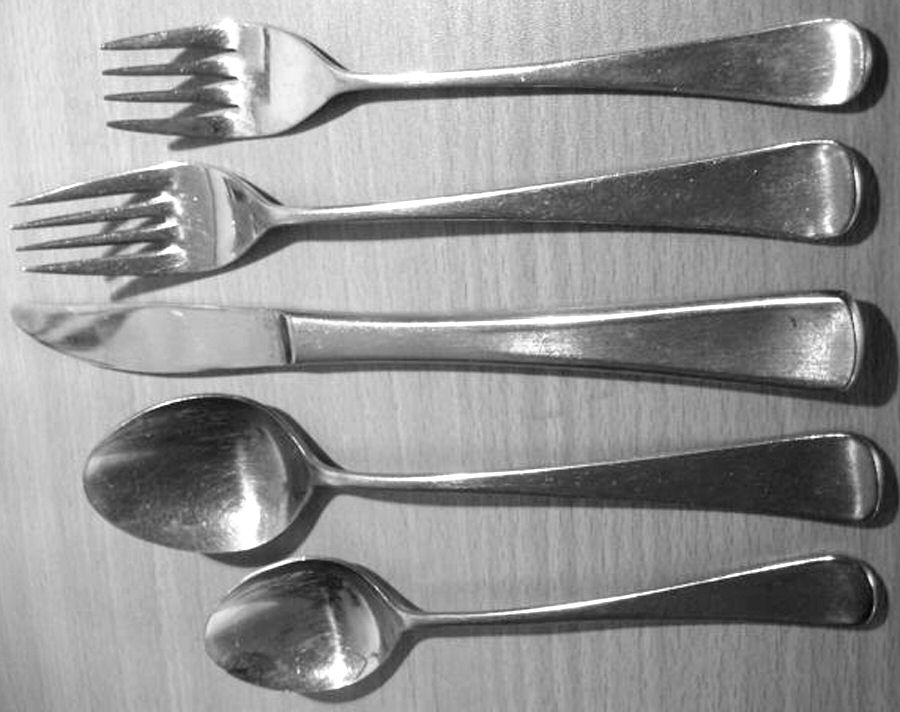 WCO2 (Stainless) Fork by Walco-1