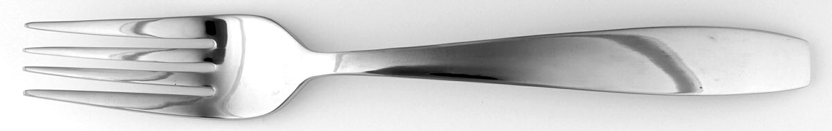 Graceful (Stainless) Fork by Wedgwood Silver-1
