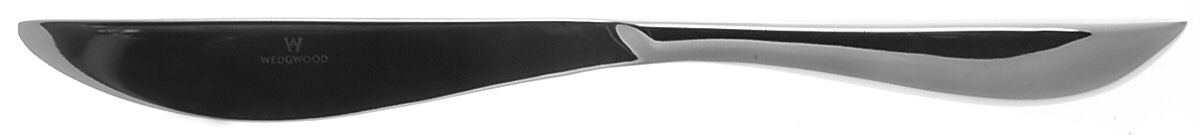 Lunar (Stainless) Modern Solid Knife by Wedgwood Silver-1