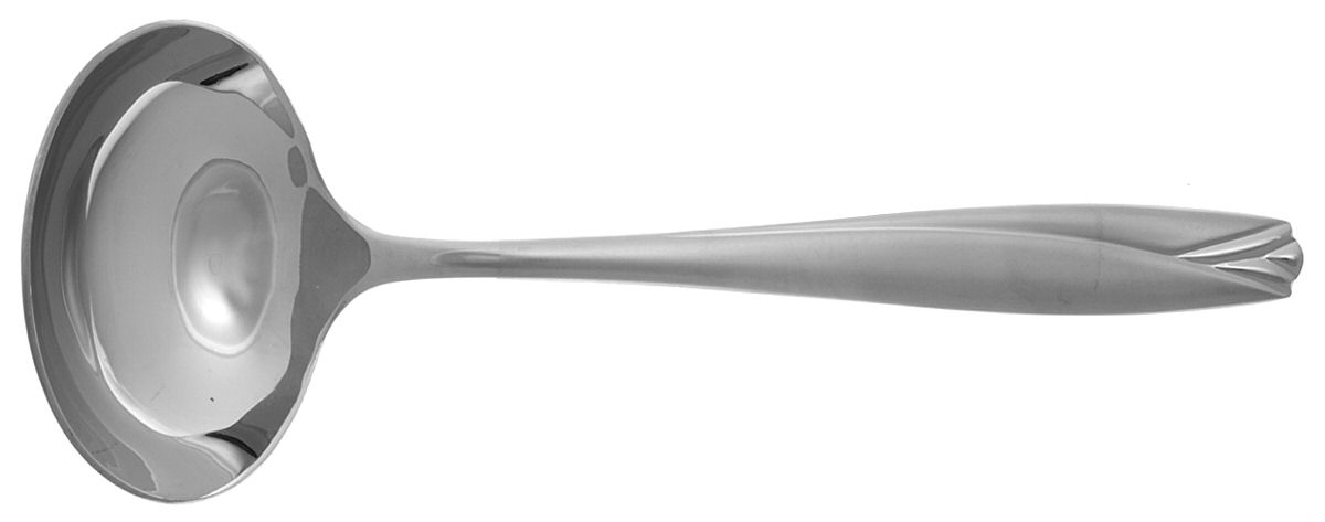 Lisette Matte (Stainless) Solid Gravy Ladle by Waterford-1