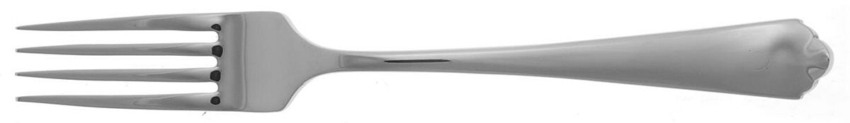 Canto (Stainless) Individual Salad Fork by Wedgwood Silver-1