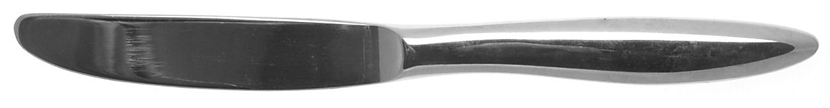 Contempra (Stainless) Master Butter Spreader, Solid Piece by World Tableware-1