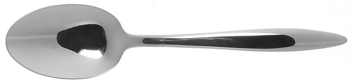Contempra (Stainless) Tablespoon (Serving Spoon) by World Tableware-1
