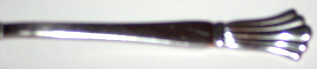 WBD2 (Stainless) Fork by World Brand-1