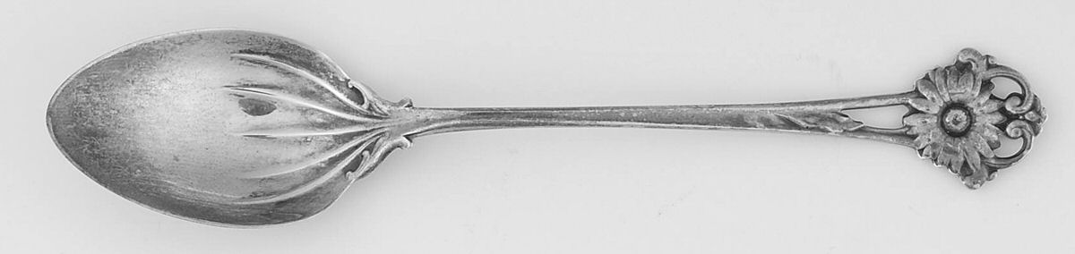 WDS37 (Sterling) Demitasse Spoon by Whiting Manf Co-1