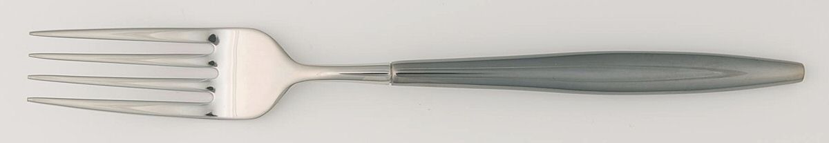 Vera Metropolitan (Stainless) Fork by Wedgwood Silver-1