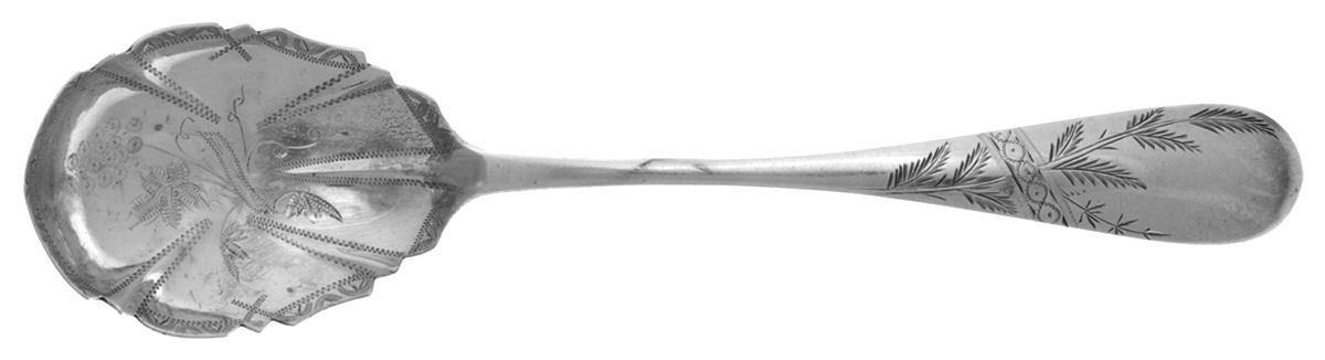 WPJ3 (Coin) Sugar Shell Spoon, Bright Cut by W P Jones-1