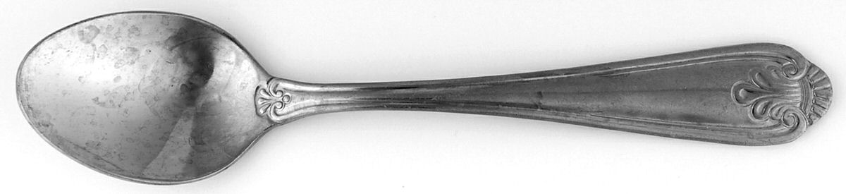 WCO5 (Stainless) Teaspoon by Walco-1
