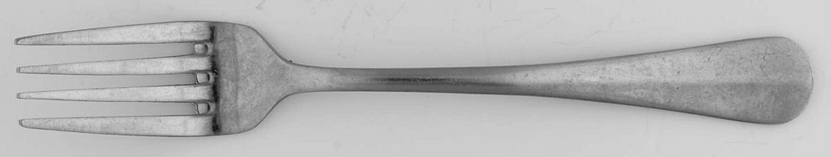 WOR5 (Stainless) Fork by World Stainless-1