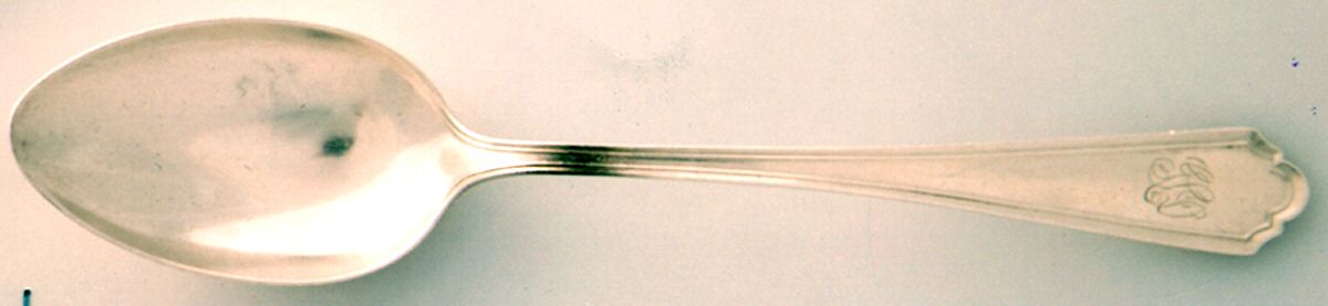 WND30 (Sterling) Teaspoon by Wendell-1