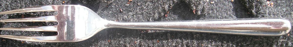 WAS218 (Stainless) Fork by Wallace Silver-1