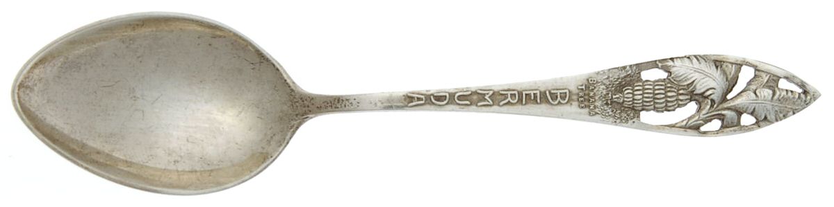 Bermuda Souvenir Spoons (Sterling) Demitasse Spoon by Watson-1