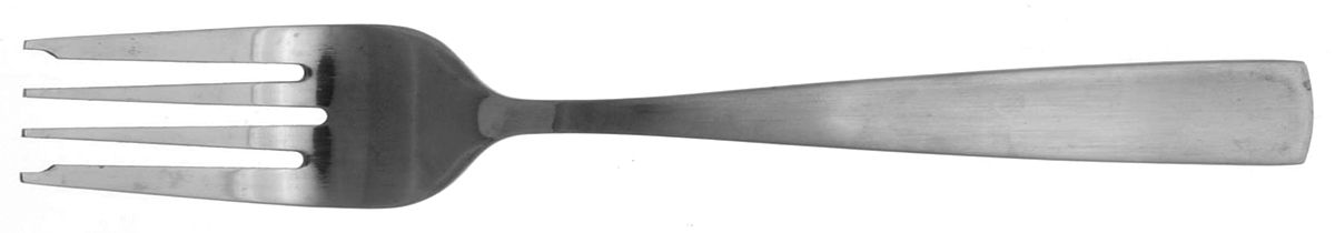 Satin Oasis (Stainless) Individual Salad Fork by Wallace Silver-1