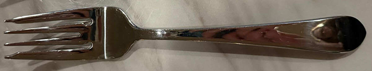 Ridgfield (Stainless, Glossy) Individual Salad Fork by Wallace Silver-1