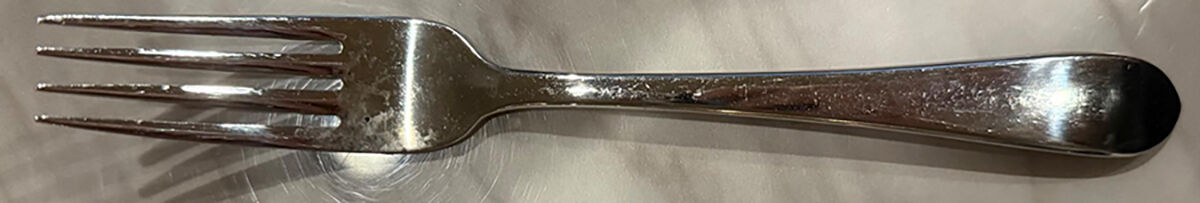 Ridgfield (Stainless, Glossy) Fork by Wallace Silver-1