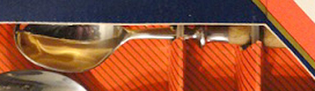 Innsbruck (Stainless) Teaspoon by Washington Forge-1