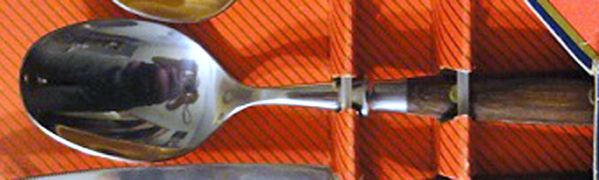 Innsbruck (Stainless) Place/Oval Soup Spoon by Washington Forge-1