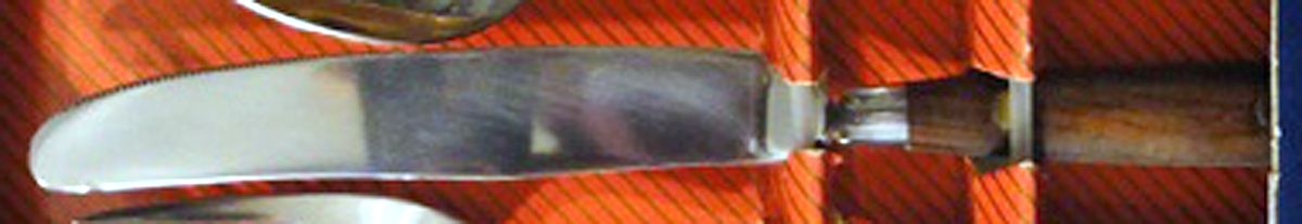 Innsbruck (Stainless) New French Hollow Knife by Washington Forge-1