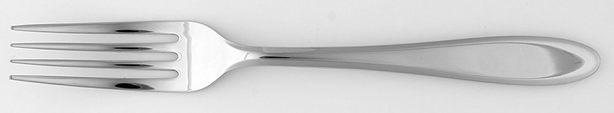 Claremont (Stainless) Individual Salad Fork by Wedgwood Silver-1