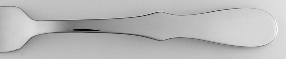 Vera Silhouette (Stainless) Fork by Wedgwood Silver-1