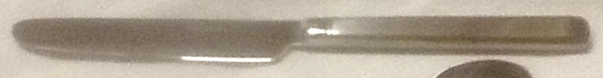 WIS22 (Stainless) New French Solid Knife by Wilkens-1