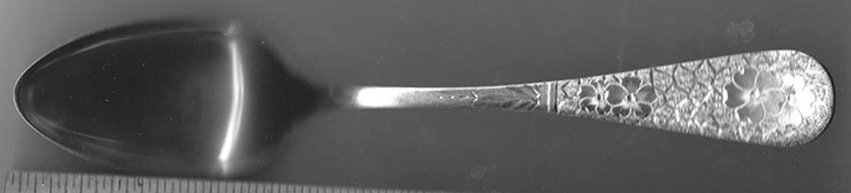 WDS55 (Sterling) Teaspoon by Whiting Manf Co-1