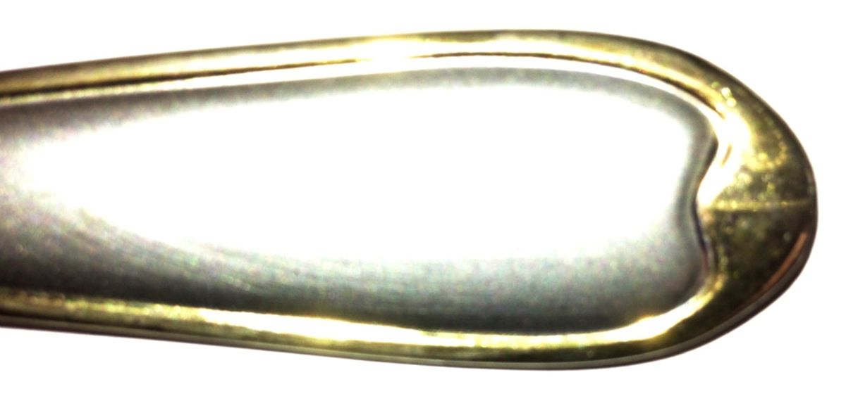 Summerset (Stainless, Gold Accent) Fork by Wallace Silver-1