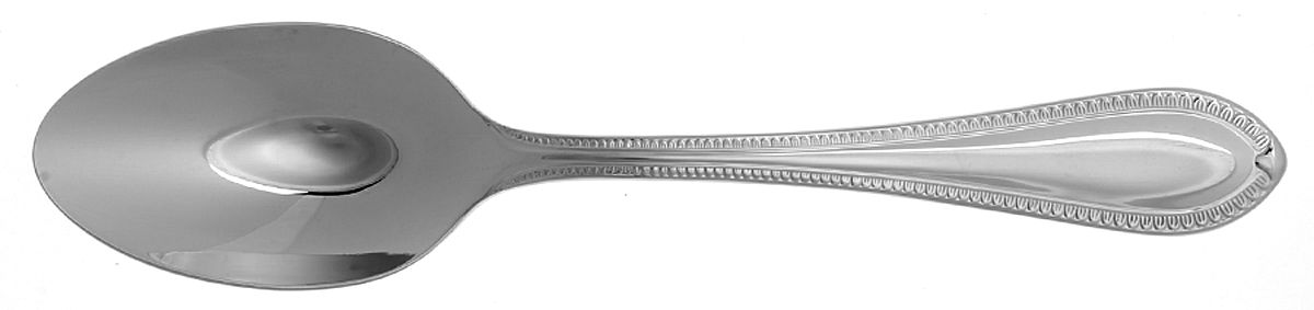 Northbridge (Stainless) Tablespoon (Serving Spoon) by Waterford-1
