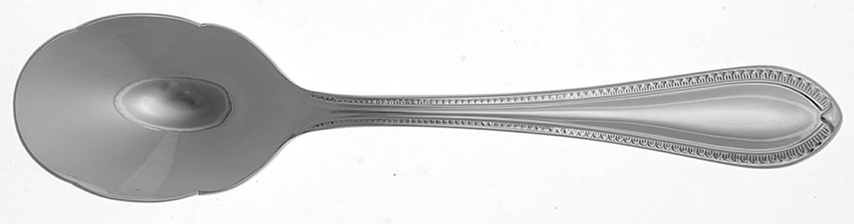 Northbridge (Stainless) Sugar Spoon by Waterford-1