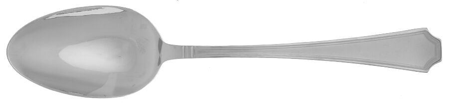 Garrett Frost (Stainless) Tablespoon (Serving Spoon) by Wallace Silver-1