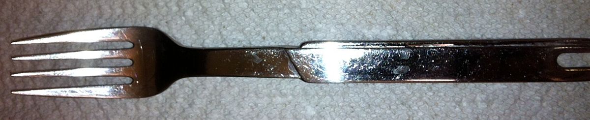 WMF190 (Stainless) Fork by WMF Flatware-1