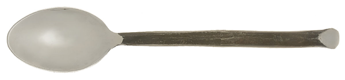Twig (Stainless) Teaspoon by World Market-1