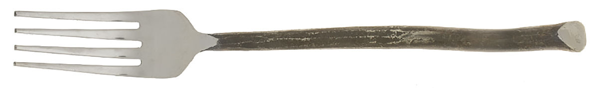 Twig (Stainless) Fork by World Market-1