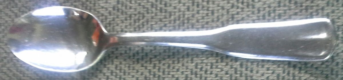 WBD4 (Stainless) Teaspoon by World Brand-1