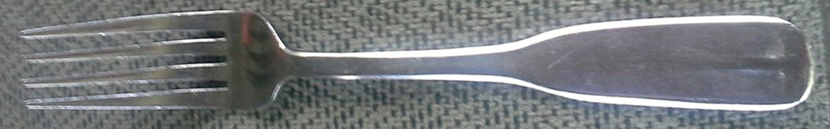 WBD4 (Stainless) Fork by World Brand-1