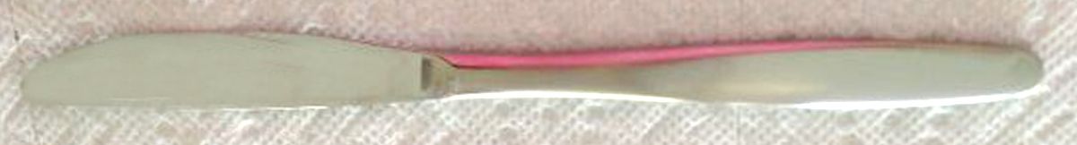 Luneburg (Stainless) Modern Hollow Knife by WMF Flatware-1