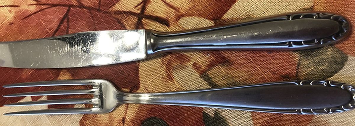 WIF30 (Stainless) Fork by Wirths-1