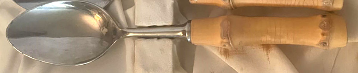 Bamboo Teaspoon by Seki Hamono-1