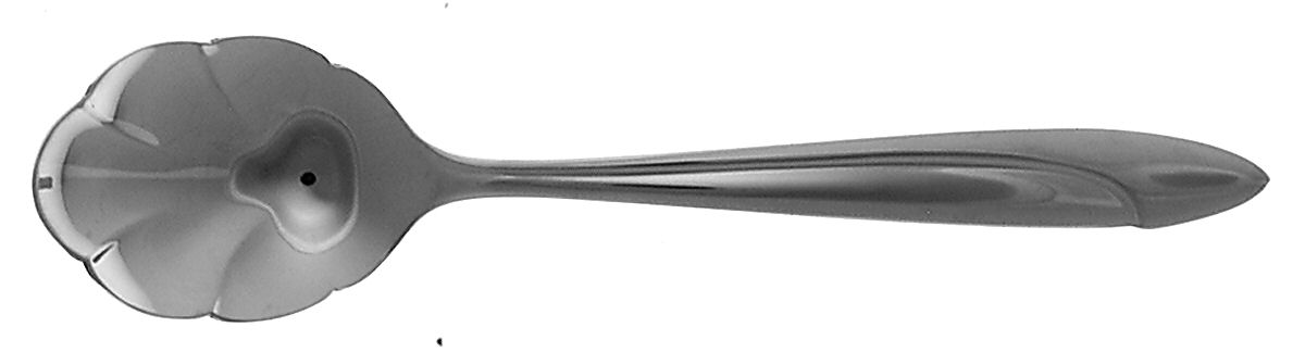 Filar (Stainless) Sugar Shell Spoon by Yamazaki-1