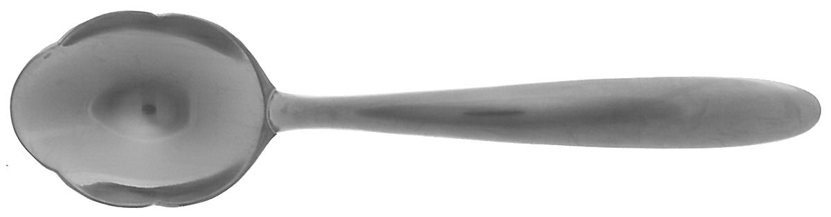 Cite (Stainless) Sugar Spoon by Yamazaki-1